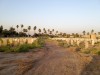 Baghdad North Gate